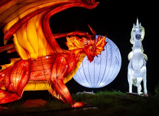 dragons-unicorns-lichtfestival-zoo-planckendael-jonas-verhulst-55.jpg