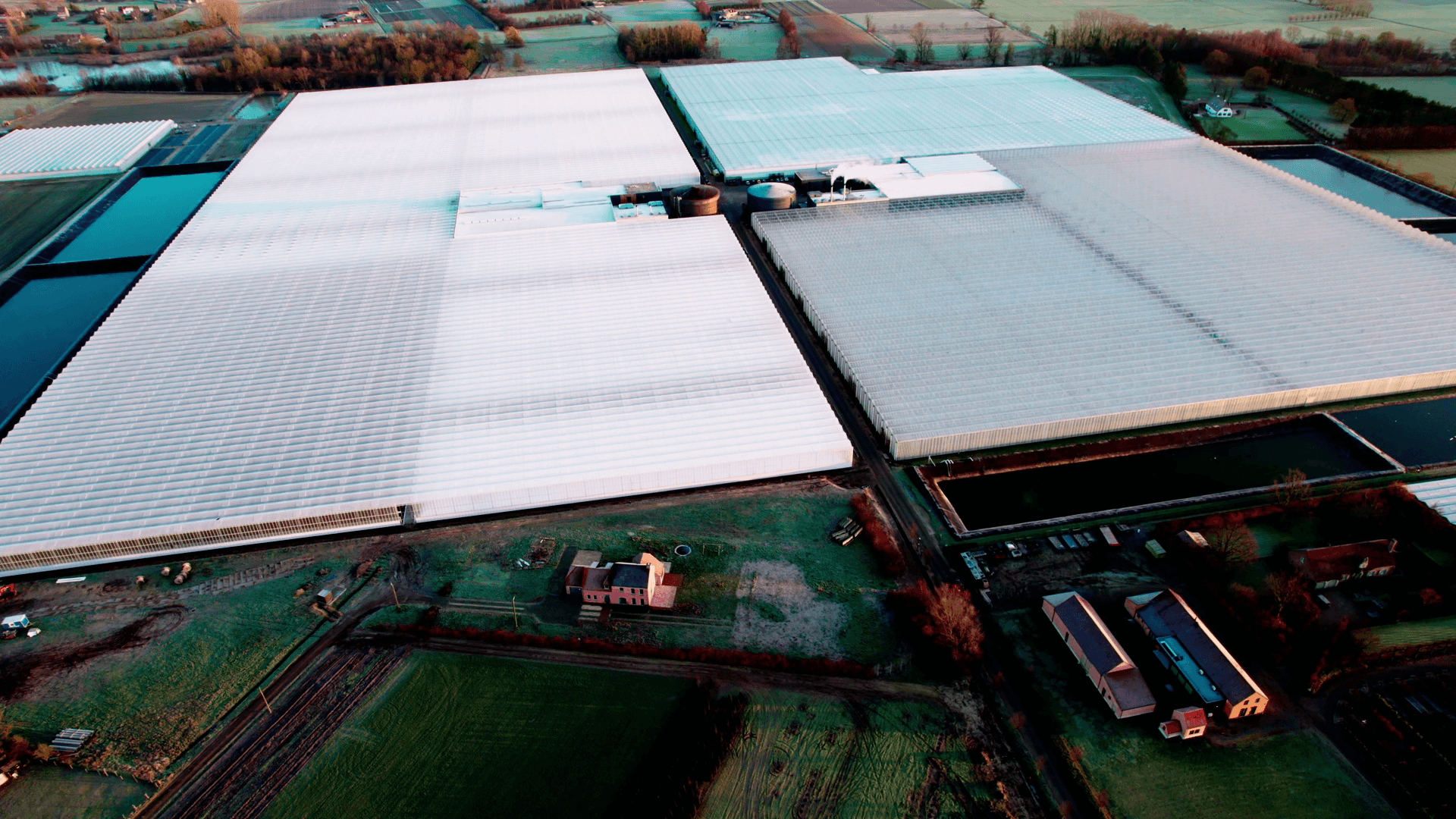 Primato in Putte verdubbelt zijn oppervlakte aan serres om aan vraag naar tomaten te voldoen