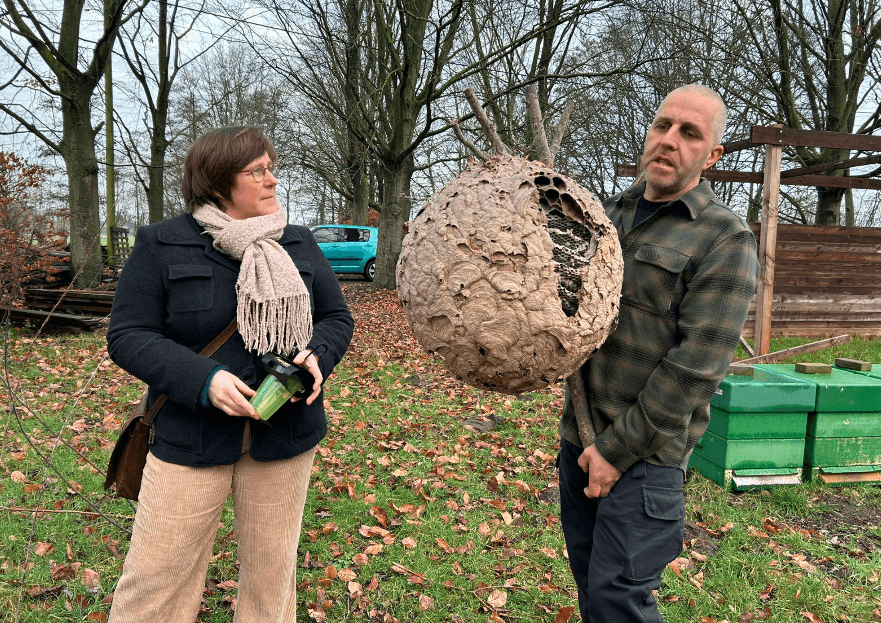 Op naar een bijenvriendelijk Berlaar: 