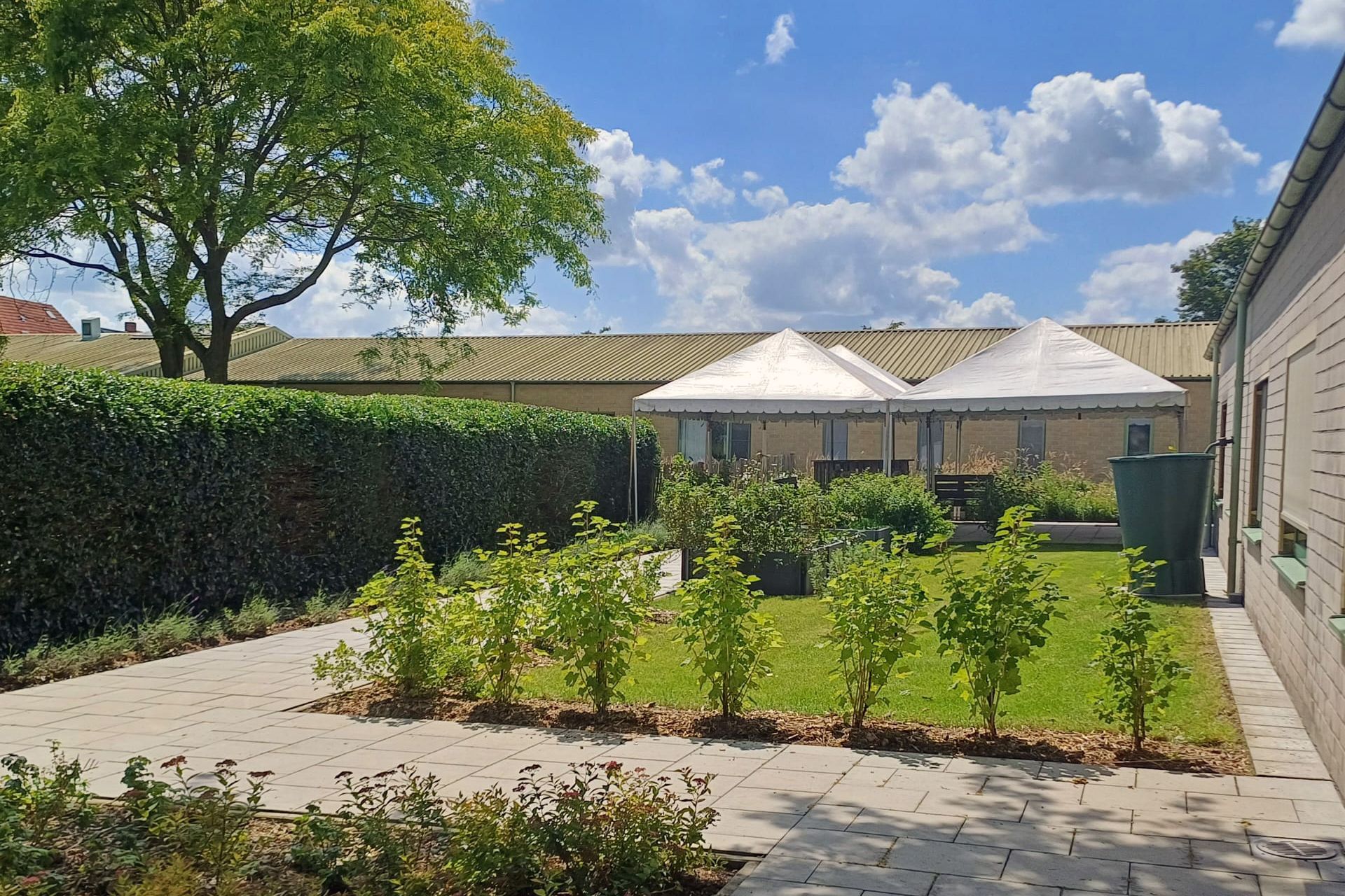 Bewoners van WZC Prinsenhof komen tot rust in nieuwe, dementievriendelijke tuin