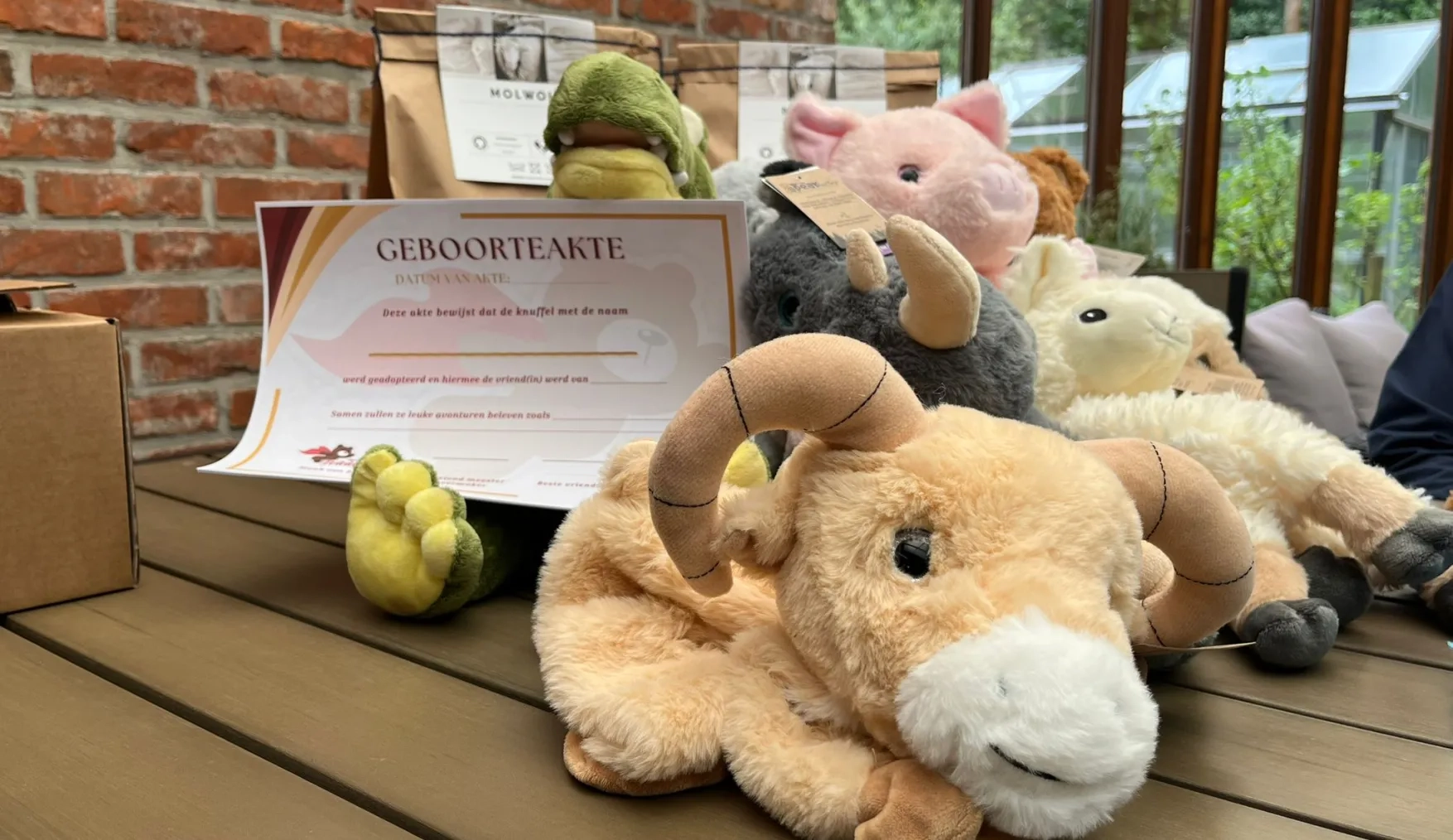 Verschillende vormen van knuffels liggen bij elkaar. Eentje heeft papieren geboorteaktes vast. De knuffel staan voor een paar zakjes met MolWol schapenwol. Deze ecologische knuffels zijn gelanceerd ter ere van het vijfjarige bestaan van Maak een Beer