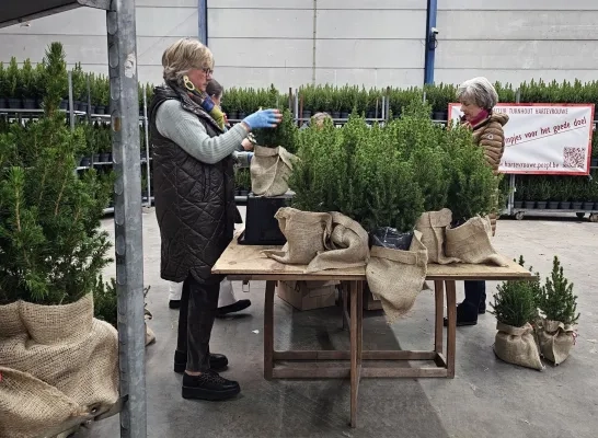 Kerstboomactie Hartevrouwe Turnhout Kerstboomactie Hartevrouwe Turnhout