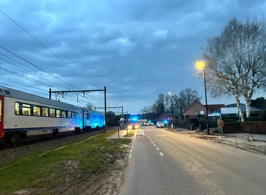 aanrijdinggeel.jfif