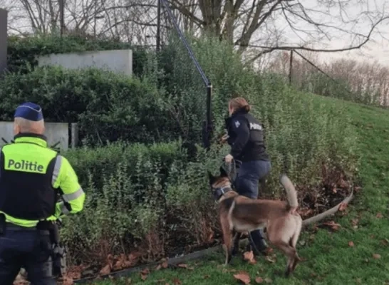 politiezone Geel politiezone Geel