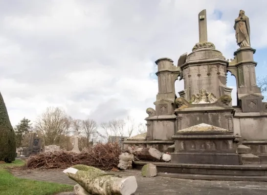Kruisbeeld en ooievaarsnest vernield Muizen Mechelen Kruisbeeld en ooievaarsnest vernield Muizen Mechelen