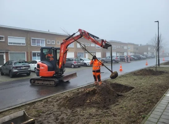Kapellenboslaan Willebroek Kapellenboslaan Willebroek