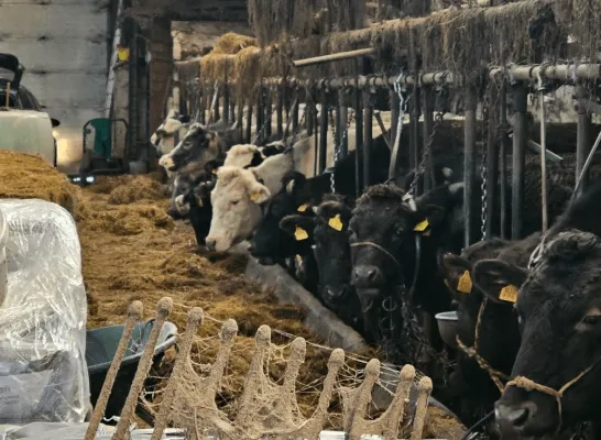boeren vennengebied boeren vennengebied