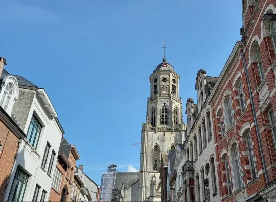 Sint Gummaruskerk Lier Sint Gummaruskerk Lier