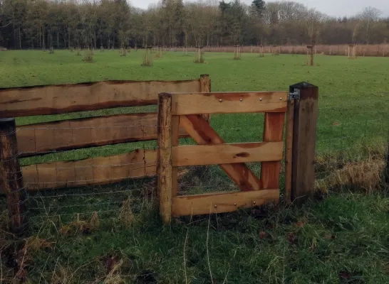 Hondenlosloopzone Postel Hondenlosloopzone Postel