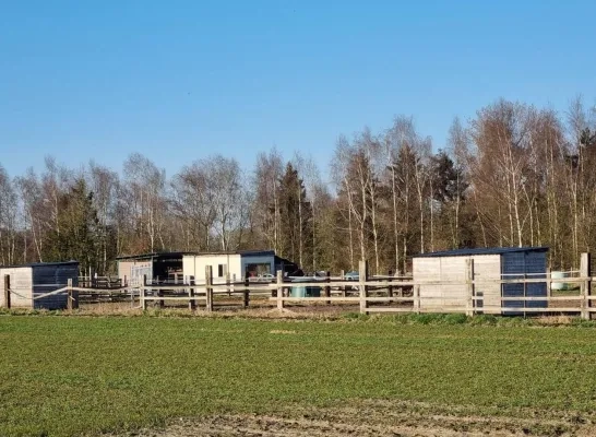zwaargewonde mannen gevonden in stal in Puurs zwaargewonde mannen gevonden in stal in Puurs