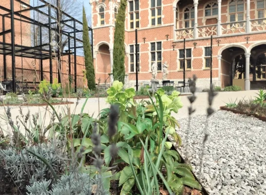 hof van buysleyden tuin
