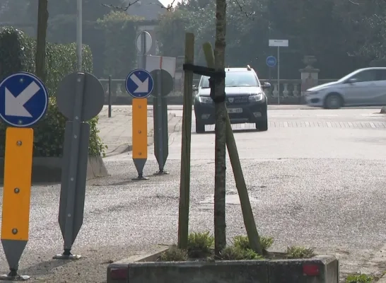 oud strijderslaan lier