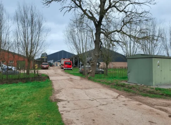 Herenthout stal dieren
