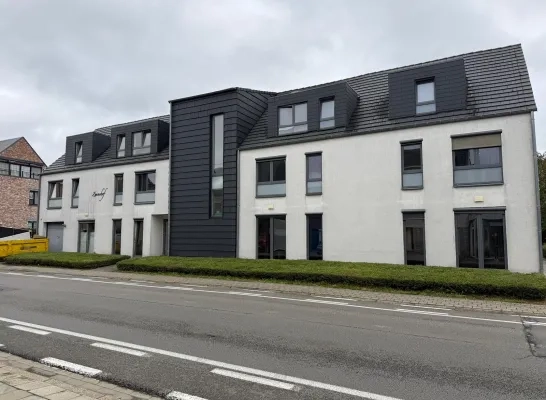 Steekpartij Herenthout