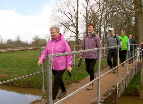 Grote Nete Zammelsbroek
