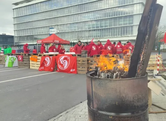 staking Fluvius