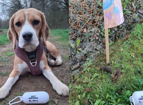 hond poepzakje Nijlen 