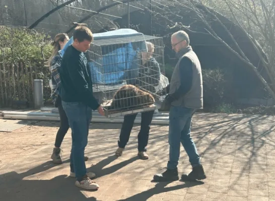 bever terugzetten