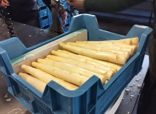 asperges familie Nooyens Ravels Lidl korte keten