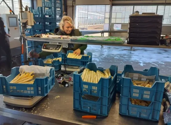 asperges familie Nooyens Ravels Lidl korte keten