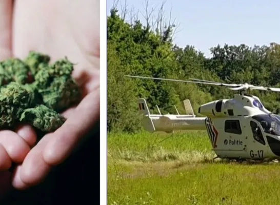 Compilatie archief cannabis/politiehelikopter