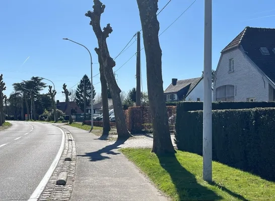 Fietser kritiek na ongeval in Duffel