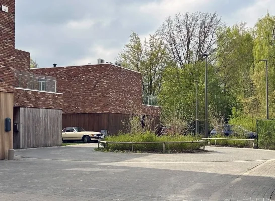 Inbraak auto's Muizen