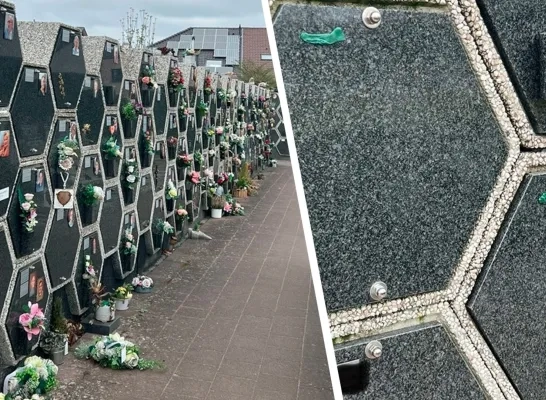 Vandalisme begraafplaats Dessel Vandalisme begraafplaats Dessel