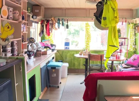 Caravan dierenvoedselbank Poezewoef Beerzel