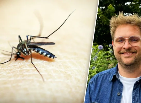 Beeldmontage RTV - rechtenvrije stockfoto/Rik Brabants