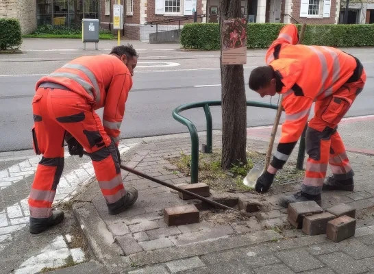 Vlaams kampioenschap tegelwippen Bonheiden
