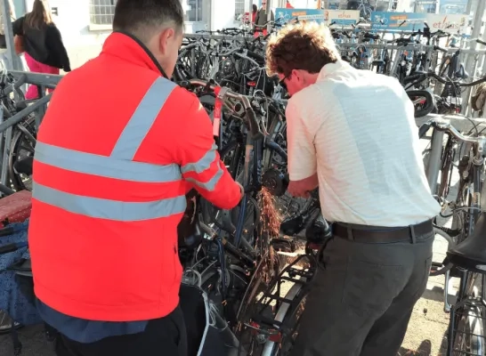 Weesfietsen Lier