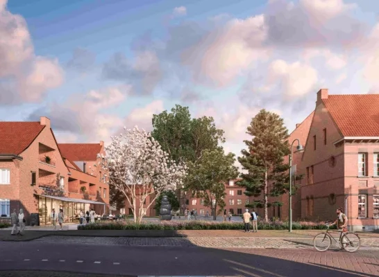 vernieuwing dorpskern