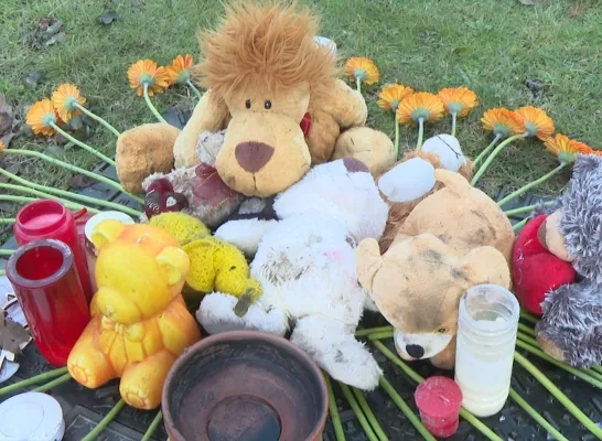 knuffels dodelijk ongeval heist