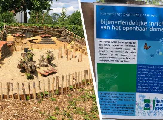 Vlinder- en bijentuin Heist-op-den-Berg
