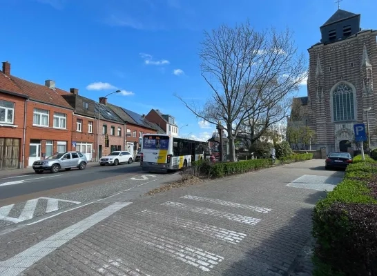 Geel viert Dimpnadag Geel viert Dimpnadag