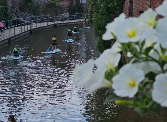 Suppen op de Dijle in Mechelen