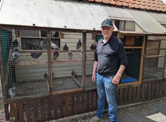 Jos Cools Grobbendonk bende duiven