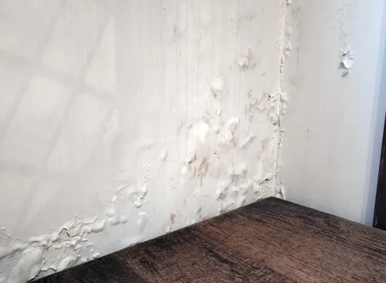 Slechte toestand gerechtsgebouw Mechelen