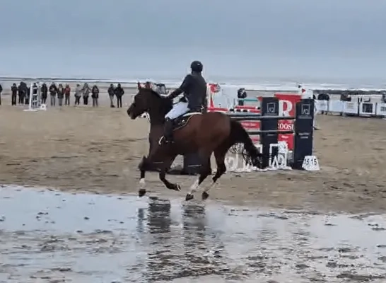 patrick spits katelijne