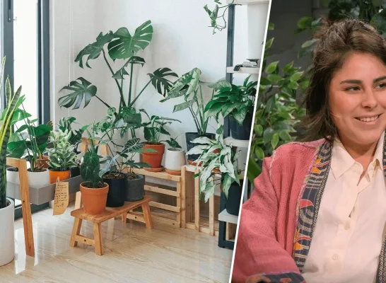 Beeldmontage RTV - rechtenvrije stockfoto/Paulien Cloots