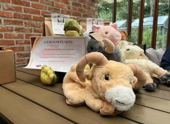 De knuffels van MolWol