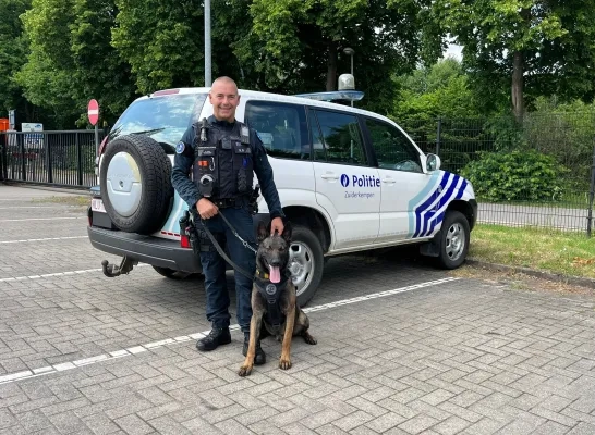Zulu, de nieuwe politiehond van de politiezone Zuiderkempen