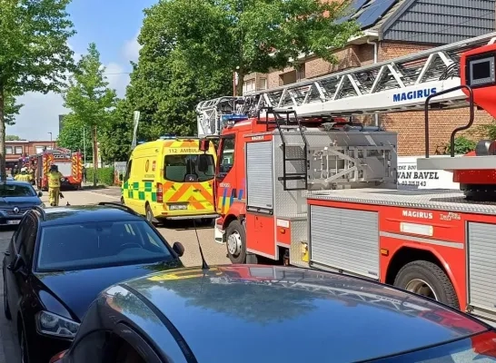 Brandje De Wegwijzer