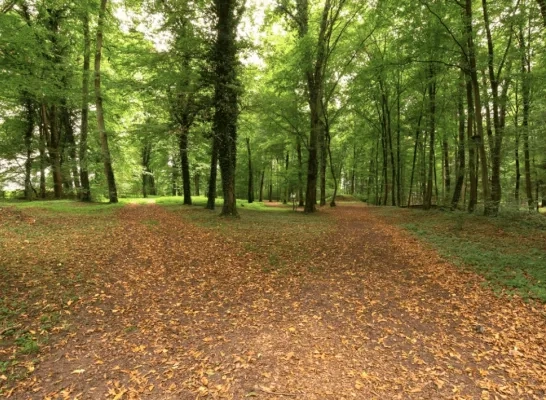 stad geel natuurbegraafplaats stad geel natuurbegraafplaats