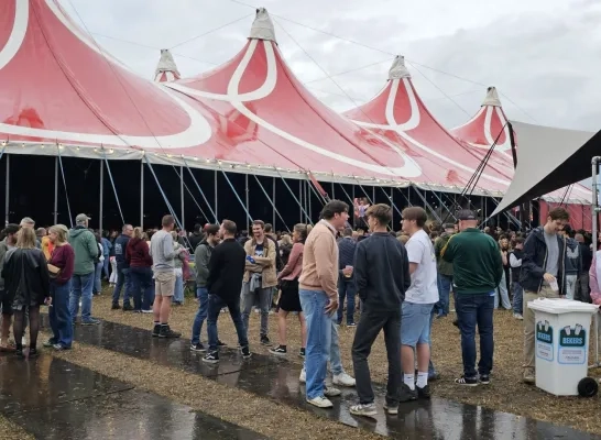 Regenachtige Gladiolen