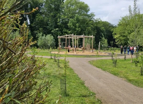 Nieuw bos in stadspark Nieuw bos in stadspark