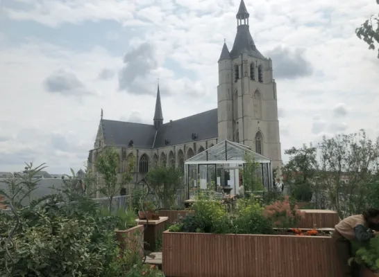 velttuinieren Mechelen