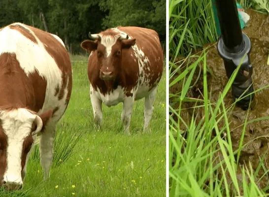 Schijt je rijk in Bevel voor meer landbouwgrond