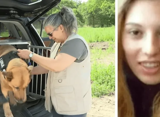 Hondenteams zoeken naar Heidi De Schepper Hondenteams zoeken naar Heidi De Schepper